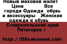 Новый меховой жилет › Цена ­ 14 000 - Все города Одежда, обувь и аксессуары » Женская одежда и обувь   . Ставропольский край,Пятигорск г.